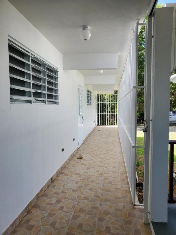 Crab Island Adventures Apartments Vieques Exteriér fotografie