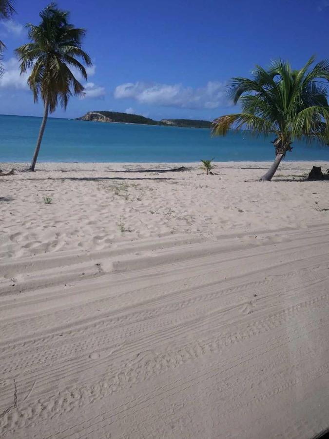 Crab Island Adventures Apartments Vieques Exteriér fotografie